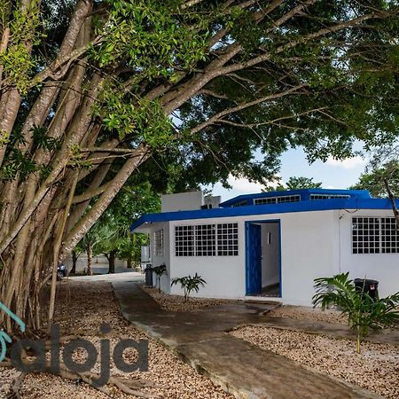 Villa Xtohil With Private Access To The Magic 7 Colors Lagoon Бакалар Екстериор снимка